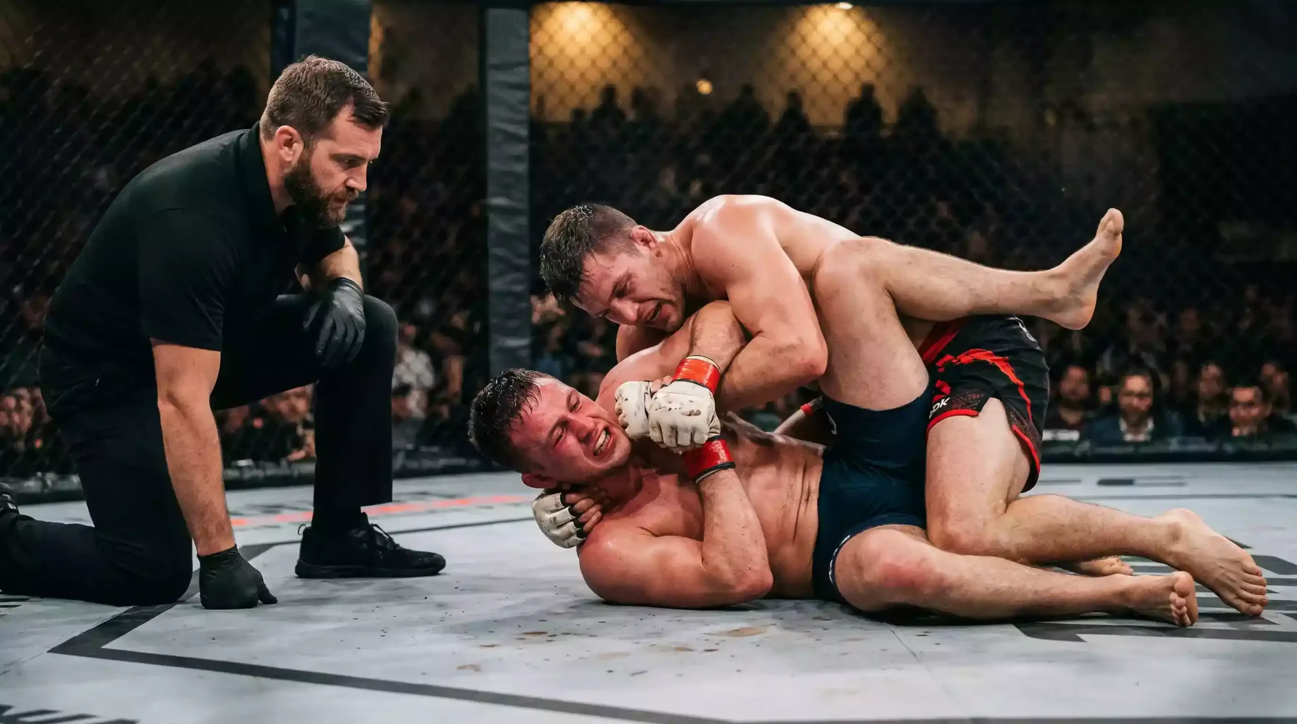 Lutador do UFC a aplicar uma submissão com estatísticas de finalização por categoria