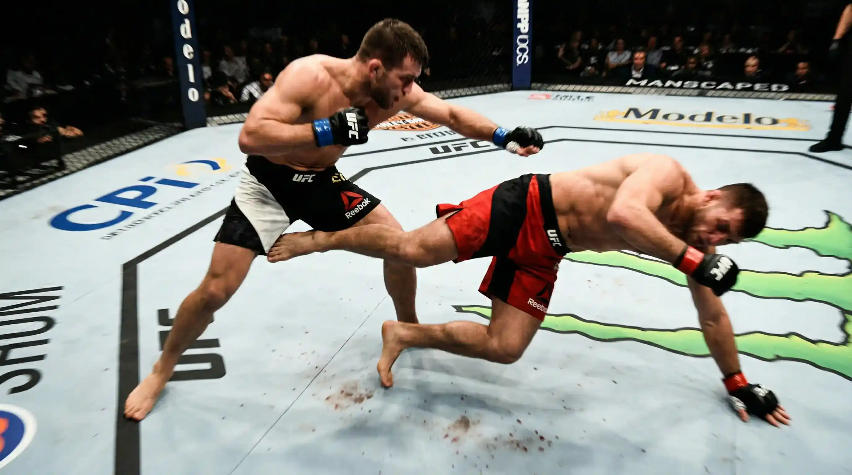 Lutadores de MMA demonstrando diferentes estilos de luta no octógono